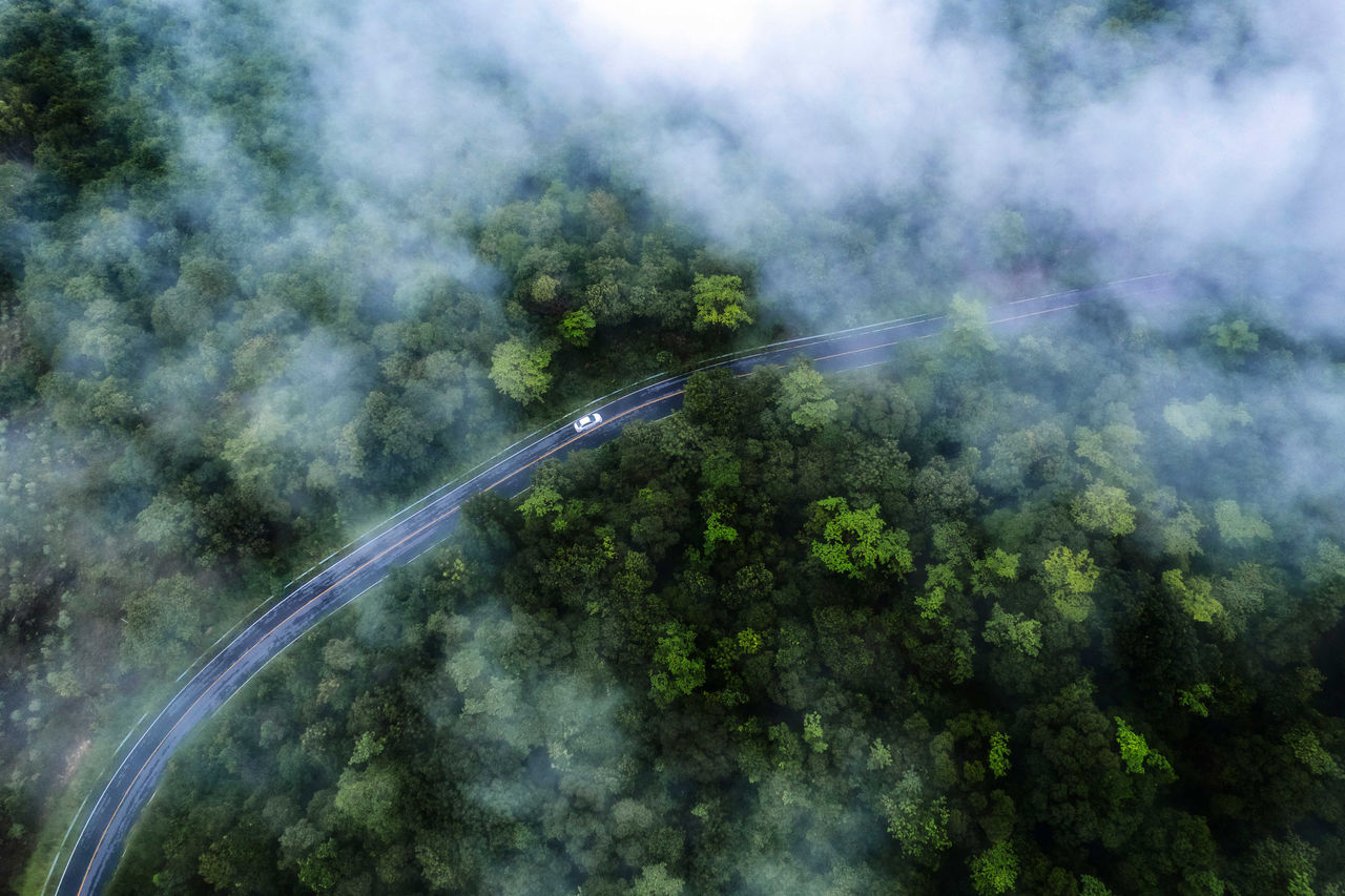 A car driving through a foggy forest seen from above